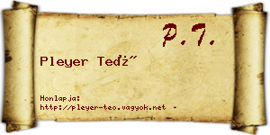 Pleyer Teó névjegykártya